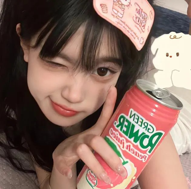 猫头鹰与小飞象